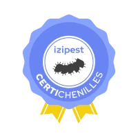 Certi Chenilles