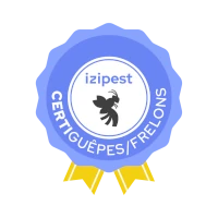 Certi Guêpes Frelons